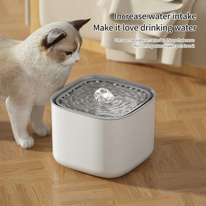 Bebedouro para gatos 3L – Silencioso e Saudável
