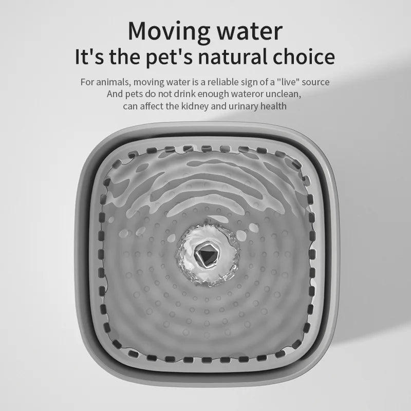 Bebedouro para gatos 3L – Silencioso e Saudável