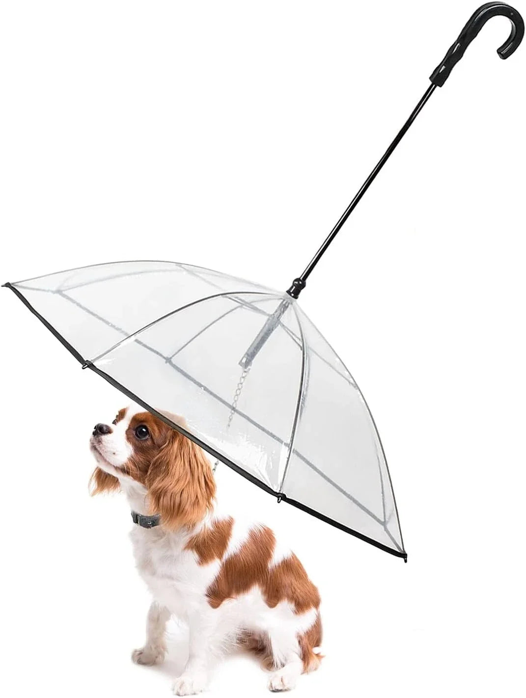 Guarda-chuva para pets