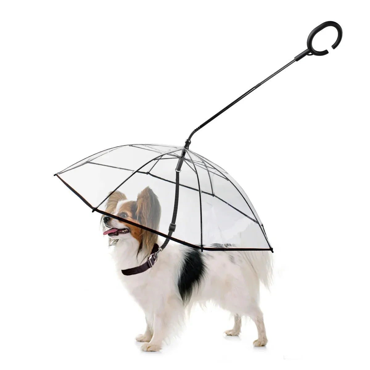 Guarda-chuva para pets