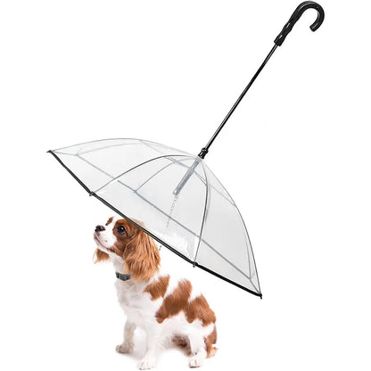 Guarda Chuva para Pets