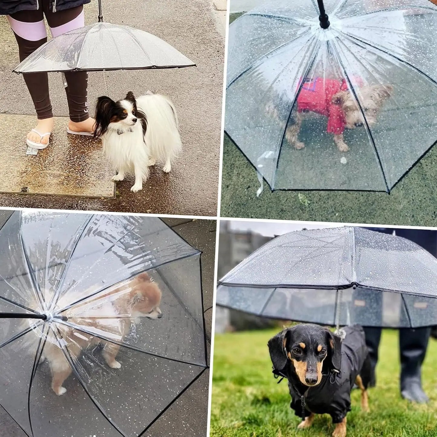 Guarda Chuva para Pets